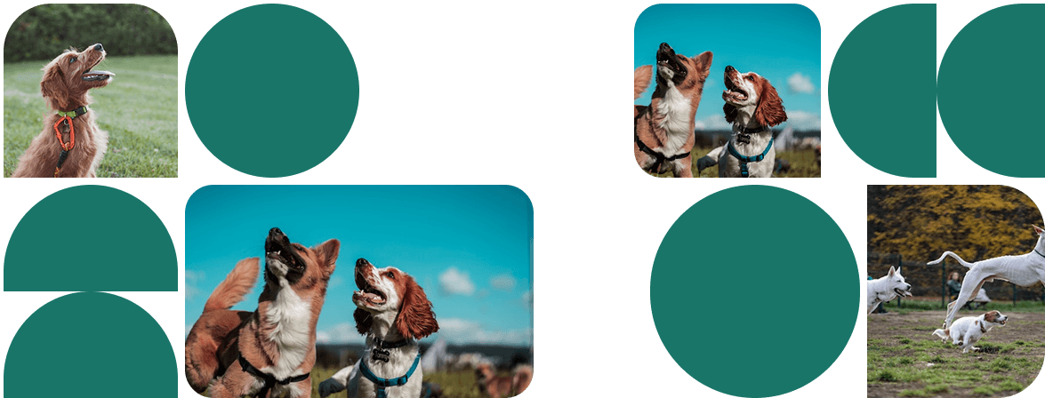 Entrenamiento intensivo